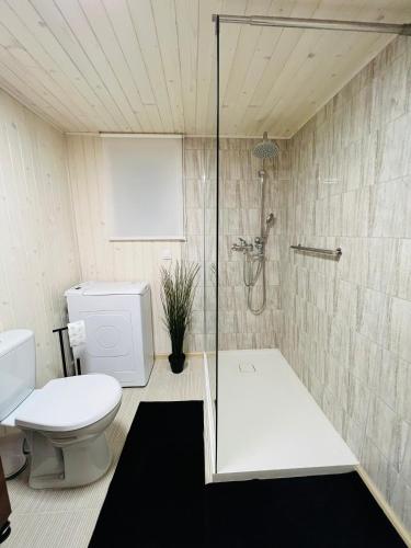 a bathroom with a toilet and a glass shower at Ranczo Wilkowyja in Wilkowyja