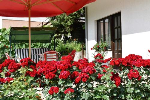 Κήπος έξω από το Apartmani "Vila Jelena" Arandjelovac