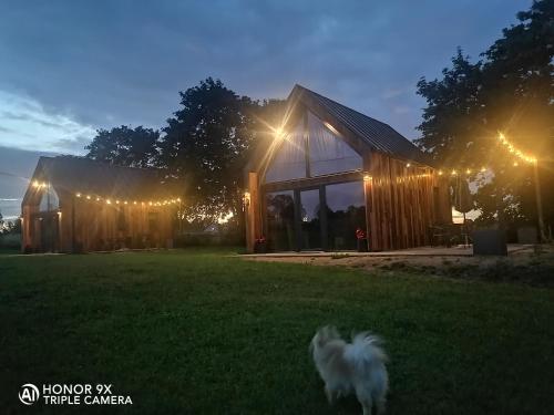 a dog walking in the grass in front of a barn at Mazurskie Stodoły in Piecki