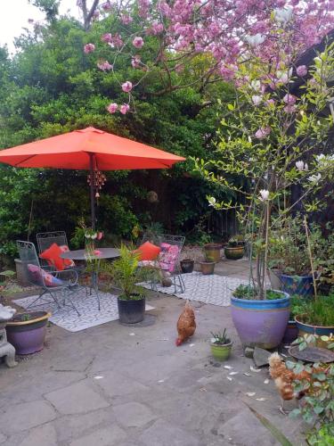 The LITTLE HOUSE in HULLにある庭