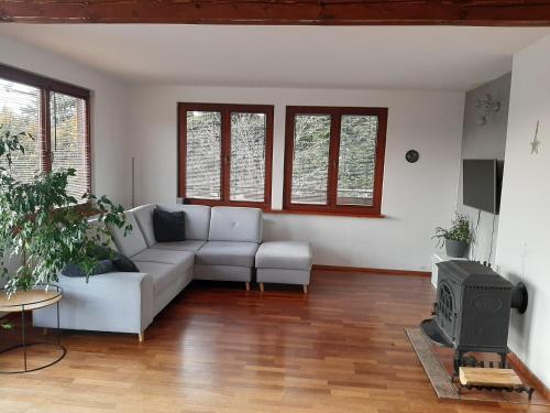 a living room with a couch and a tv at Dom Przy Lesie in Wisła