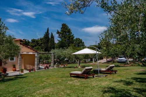 Κήπος έξω από το Small Paradise
