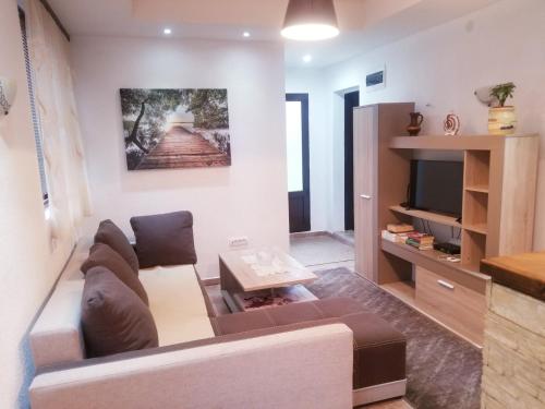 a living room with a couch and a tv at Apartments Beka in Žabljak