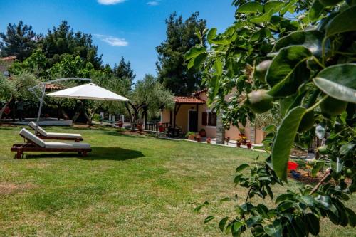 Κήπος έξω από το Small Paradise