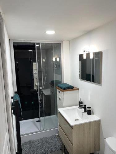une salle de bain avec une douche, un lavabo et des toilettes dans l'établissement Petite maison centre ville, à Chartres
