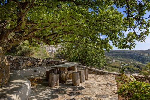 a wooden bench sitting under a tree next to a stone wall at Astrokaktos in Skaládhos