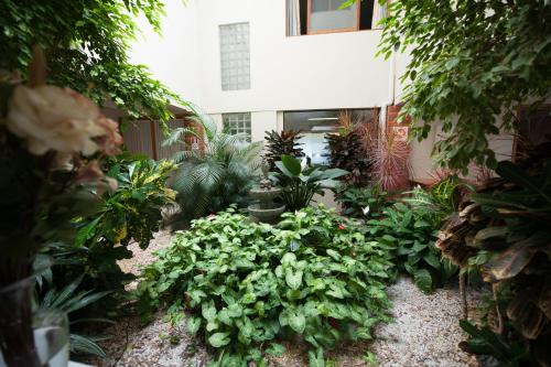 a garden with lots of plants in front of a building at Farina Park Hotel in Bento Gonçalves