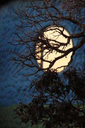 a reflection of a moon in the water with a tree at Pousada Morro da Baleia in Alto Paraíso de Goiás