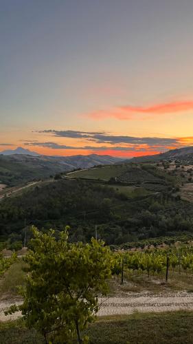 Glamping CirelliWines Abruzzo – Photos 4