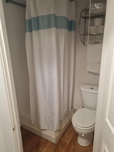 a bathroom with a toilet and a shower curtain at ROYAL OAK in Kinnersley