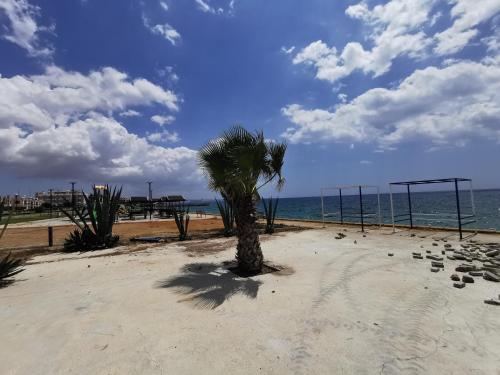 Φυσικό τοπίο κοντά σε αυτό το διαμέρισμα