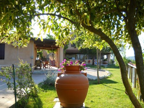 a large vase sitting in the grass under a tree at B&B Silent Valley in Ripatransone