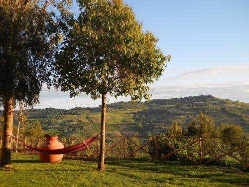 a vase sitting next to a tree in a field at B&B Silent Valley in Ripatransone