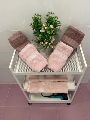 a shelf with towels and a plant in a bathroom at Casa Bellavista in Nerezine