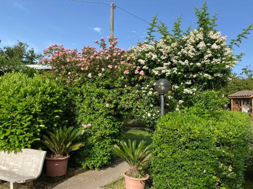 a garden with pink and white flowers and plants at Santa Maria Apartments in Forino