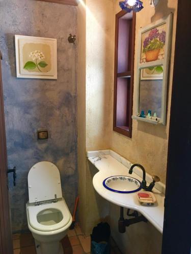 a bathroom with a toilet and a sink at Casa da Pedra Atibaia Clube da Montanha in Atibaia