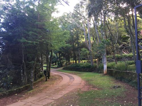 a dirt road in a park with trees at Casa da Pedra Atibaia Clube da Montanha in Atibaia