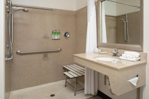 O baie la Holiday Inn & Suites Goodyear - West Phoenix Area, an IHG Hotel