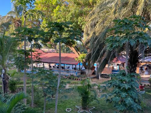 Jardin de l'établissement Victory Hotel & Restaurant Tulear