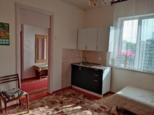 uma cozinha com um lavatório e uma bancada em Абхазия Дом Под Ключ Алахадзы em Alakhadzi