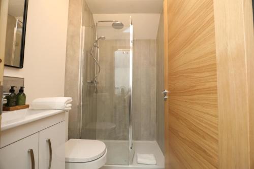 a bathroom with a shower with a toilet and a sink at Garden Studio in Biggar in Biggar