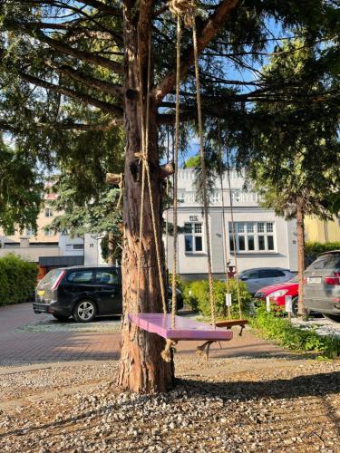 a pink swing hanging from a tree at Willa 1936 , Parking in Toruń