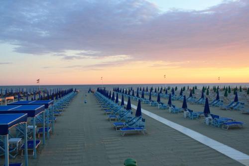 a row of chairs and umbrellas on a beach at IL NIDO DI CHLOE cod. citra 011027-LT-0239 in Sarzana