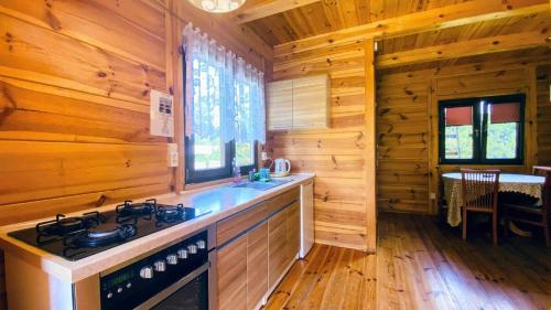 uma cozinha com um fogão numa cabina de madeira em Domki i pokoje nad rzeką Wieprz em Zwierzyniec
