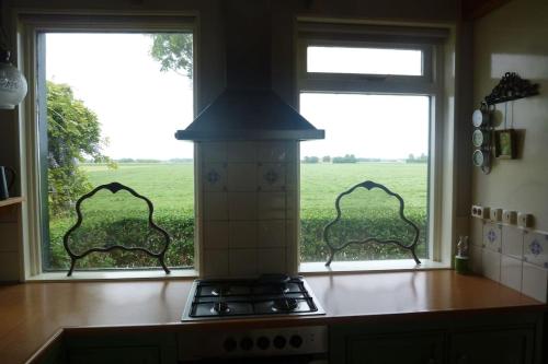 a kitchen with two windows with a view of a field at Dijkhuisje Zeeland in Waterlandkerkje