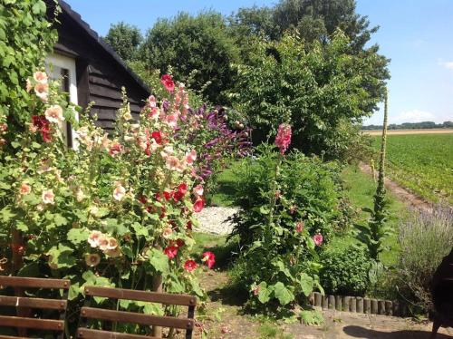 a garden of flowers next to a house at Dijkhuisje Zeeland in Waterlandkerkje