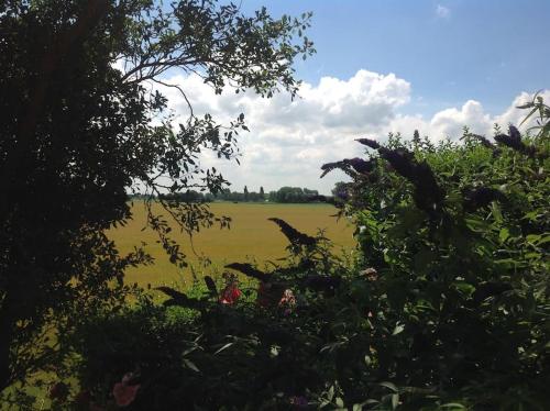 a field with a green field in the distance at Dijkhuisje Zeeland in Waterlandkerkje