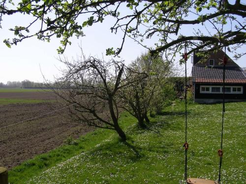 a field with trees in front of a house at Dijkhuisje Zeeland in Waterlandkerkje