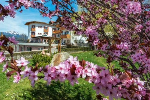 a magnolia tree with a house in the background at La Montanina Hotel in Val di Non in Malosco