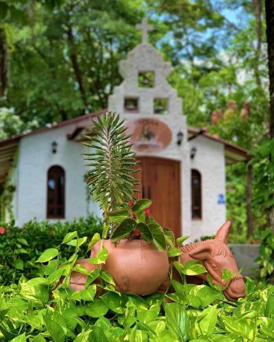 a plant in a pot in front of a church at Hotel Agroturistico Palma Vino in Arboletes