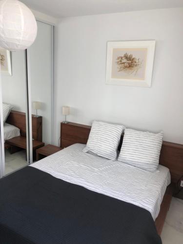 1 dormitorio con 1 cama con 2 almohadas en Front de mer,plage, piscine, parking, en Cagnes-sur-Mer