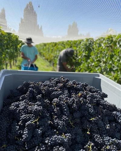 Επισκέπτες που μένουν στο 'The Crib' on Legacy Vineyard