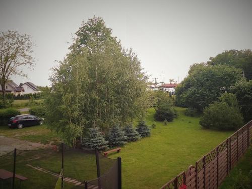 a yard with christmas trees and a fence at Domek pod Ślężą in Marcinowice