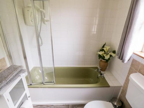 a bathroom with a green tub and a toilet at Roundstone Bay View in Roundstone