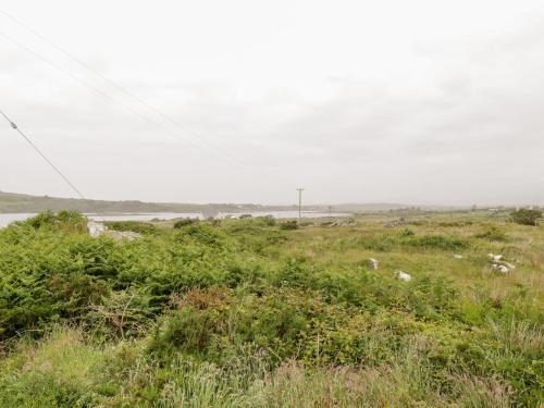 a field of grass with animals in the distance at Roundstone Bay View in Roundstone