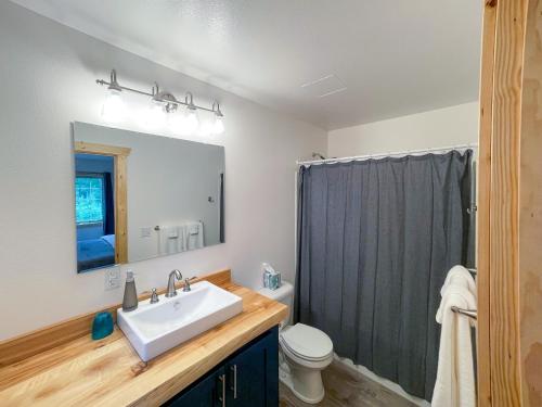 a bathroom with a sink and a toilet at Talkeetna Wilderness Lodge & Cabin Rentals in Sunshine