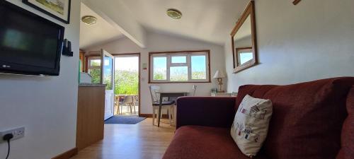 a living room with a couch and a television at Little Oaks Chalet - St. Merryn, Padstow in Padstow