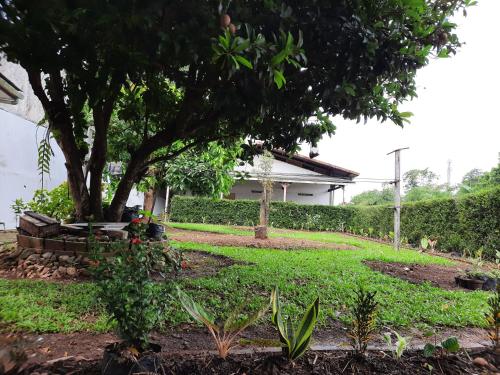 A garden outside Madureso asri homestay