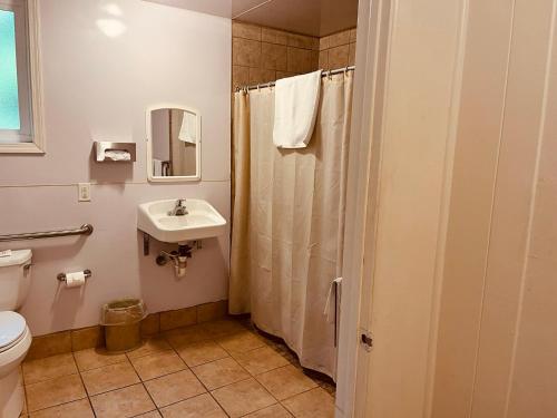 a bathroom with a shower and a sink and a toilet at Jumping Frog Motel in Angels Camp