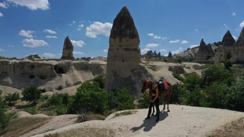a horse standing on some rocks in the desert at Mak's Cave House in Uchisar