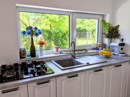 a kitchen counter with a sink and a window at Hill House Valiug Crivaia in Văliug