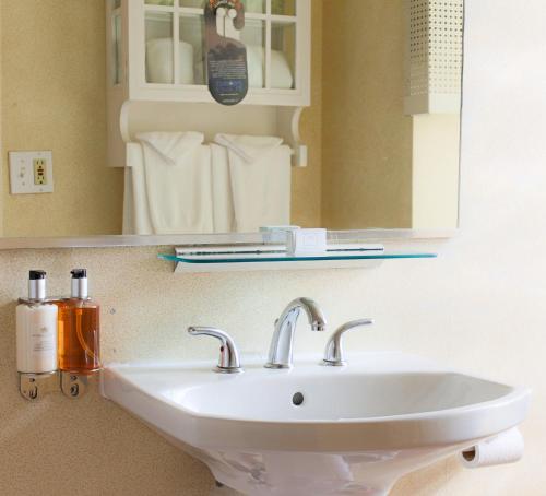 ein weißes Waschbecken im Bad mit Spiegel in der Unterkunft The Willows Hotel in Chicago