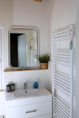 a bathroom with a sink and a mirror at Peenehof Köppen - Ferienwohnungen & Schlaffässer in Jördenstorf