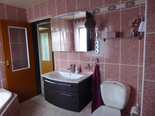 a bathroom with a sink and a toilet and a mirror at Ferienwohnung Hagebuttenweg in Thale