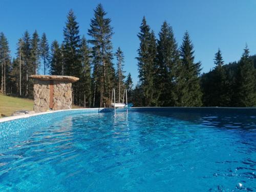 a large swimming pool with blue water and trees at Gościniec Janowa Góra in Stronie Śląskie
