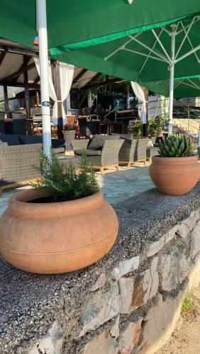 Φωτογραφία από το άλμπουμ του Beach house Hela - resort & tavern BAIN, free transport, pool, Island of Žut - Kornati σε Pristanišće